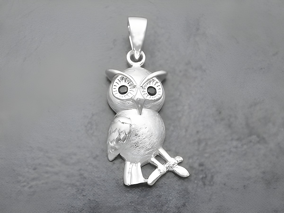 Eule als teilmattierter Silber Anhänger mit Zirkonia in schwarz von Juwelier Harnisch, ein Kauz als Glücksbringer, ideal für Tierliebhaber.