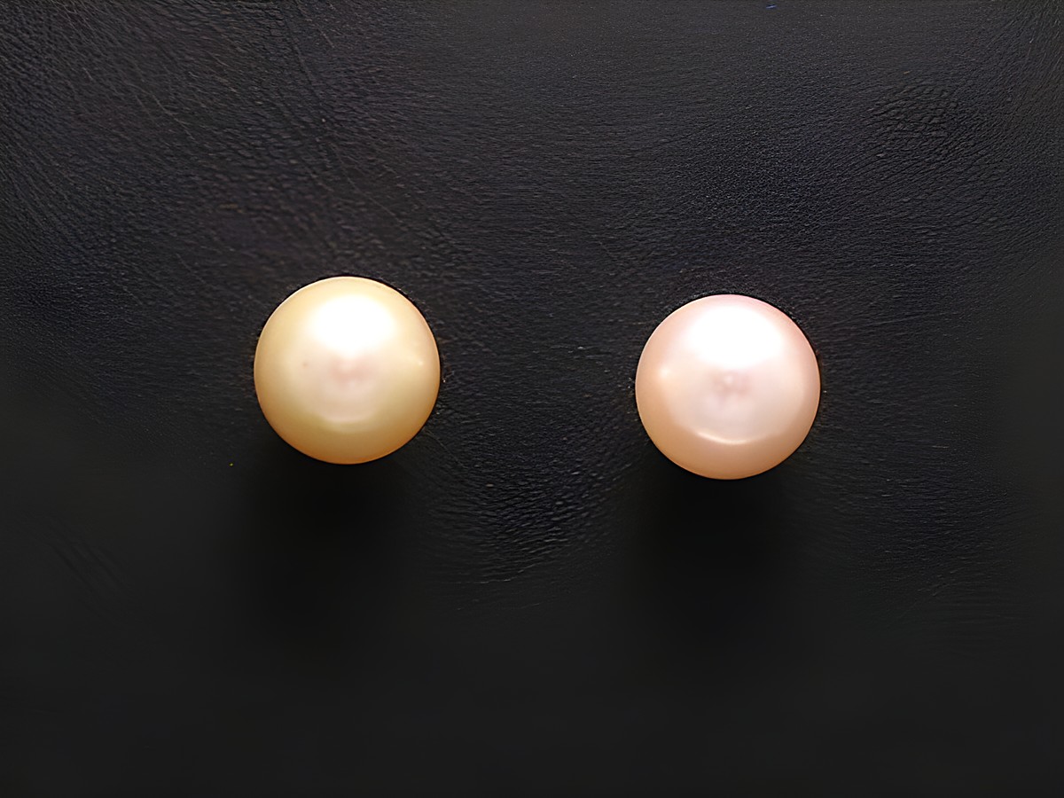 Zuchtperlen Ohrstecker aus Gold 585, gefertigt vom Juwelier Harnisch, zeigen ein klassisches und elegantes Design mit zwei runden, schimmernden Perlen in hellen Farbtönen.