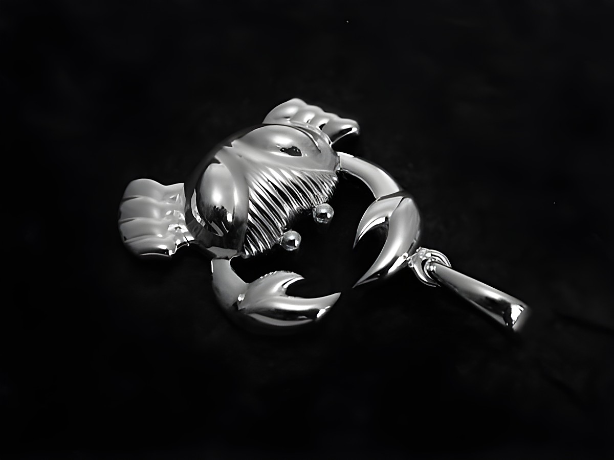 Krebs Sternzeichen Anhänger aus 925 Sterling Silber, poliert, hergestellt von Juwelier Harnisch, detailreiche Darstellung des Krebses als Schmuckstück.