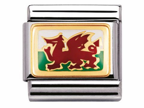Die Bicolor Emaille Charm mit dem Motiv der walisischen Flagge zeigt einen rot-goldenen Drachen auf grünem Hintergrund in elegantem Design der Marke Nomination.
