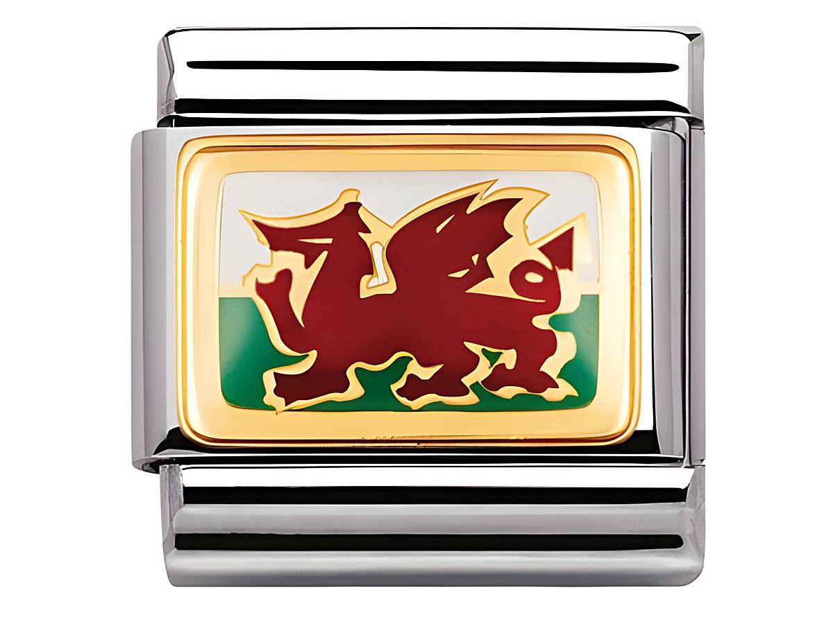 Die Bicolor Emaille Charm mit dem Motiv der walisischen Flagge zeigt einen rot-goldenen Drachen auf grünem Hintergrund in elegantem Design der Marke Nomination.