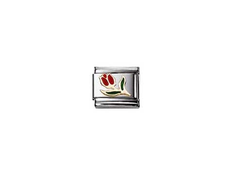 Eine emaillierte Classic NATURE Tulpe von Nomination in einem silbernen Rahmen zeigt eine rote Tulpe mit grünen Blättern auf einer klaren Fläche. Ideal für Schmuckliebhaber.