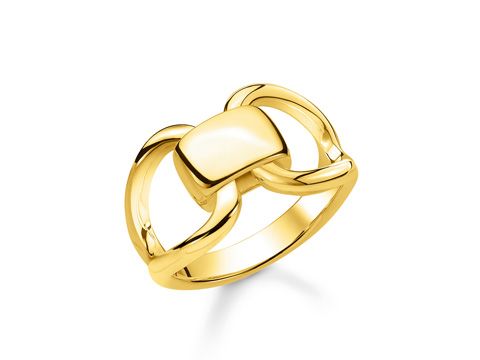 Schmuckstück von Thomas Sabo, Ring TR2238-413-39-54 in gelbgoldfarben, Größe 54, mit elegantem Design und glänzender Oberfläche. Ideal für stilvolle Akzente.