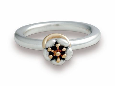 PANDORA Schmuck - BICOLOR Ring Gr. 52/17 - 190822 - Stories