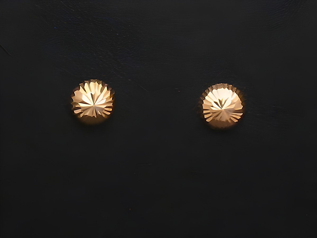 Gold Ohrstecker mit einem Durchmesser von 6,2 mm, designet von Juwelier Harnisch, verleihen jedem Outfit einen eleganten Akzent.