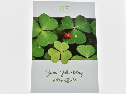 Eine Geburtstagskarte mit der Aufschrift 85, verziert mit einem Motiv aus Grün und einem Marienkäfer auf Glücksklee, geeignet für Geburtstagswünsche von Juwelier Harnisch.