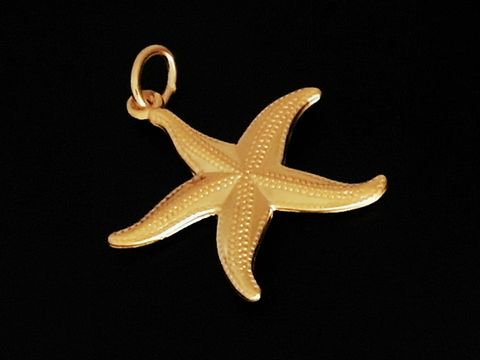 Seestern - Gold Anhänger - 333 Gold - Maritim, Hersteller: Juwelier Harnisch, dekorativ gestalteter Anhänger in Form eines Seesterns, ideal für einen maritimen Schmuckstil.