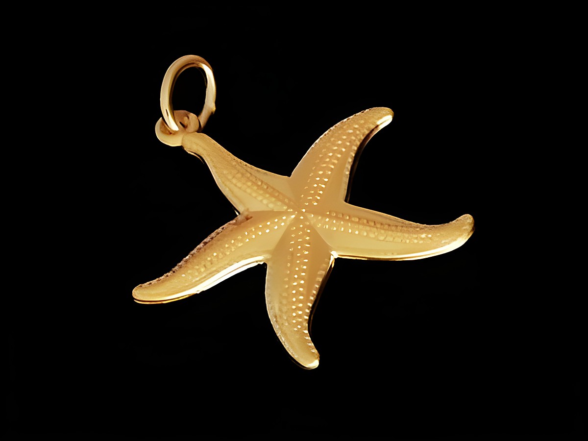 Seestern - Gold Anhänger - 333 Gold - Maritim, Hersteller: Juwelier Harnisch, dekorativ gestalteter Anhänger in Form eines Seesterns, ideal für einen maritimen Schmuckstil.