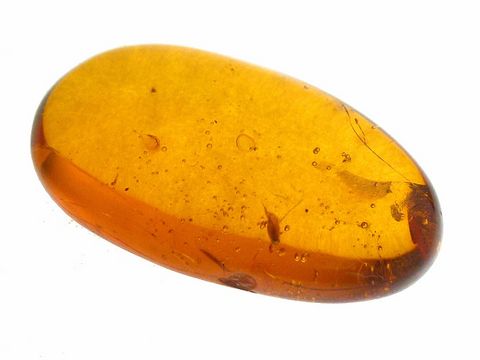Bernstein Zikade AMBER Sammlerstück in ovaler Form, leuchtend orange mit Einschlüssen, ideal für Juwelierarbeiten und als einzigartiges Schmuckstück von Juwelier Harnisch.