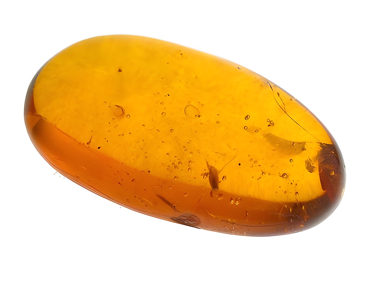 Bernstein Zikade AMBER Sammlerstück in ovaler Form, leuchtend orange mit Einschlüssen, ideal für Juwelierarbeiten und als einzigartiges Schmuckstück von Juwelier Harnisch.