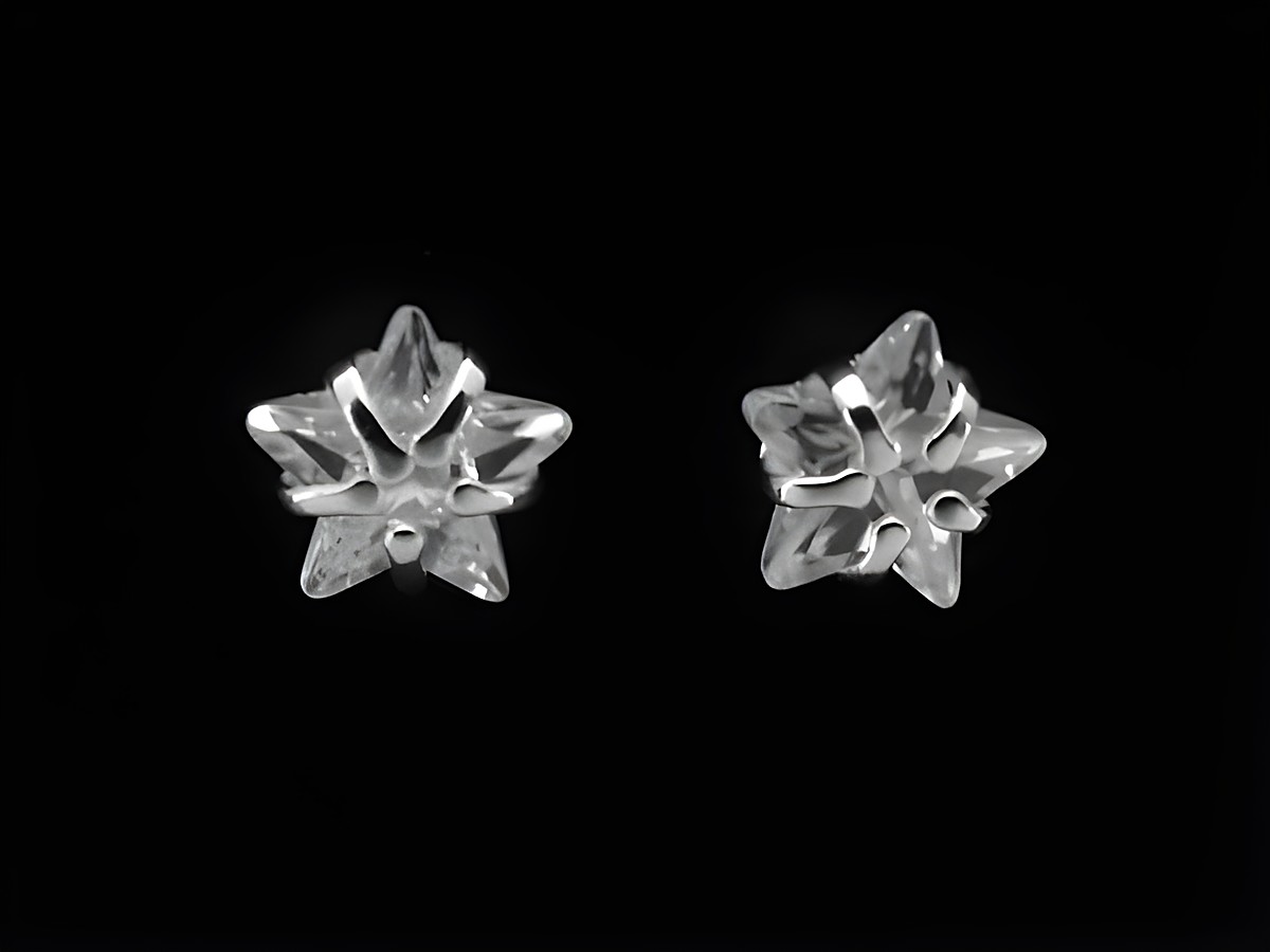 Stern Ohrstecker aus verschlungenem Sterling Silber mit Zirkonia von Juwelier Harnisch, glänzendes Design und funkelnde Steine für einen eleganten Look.