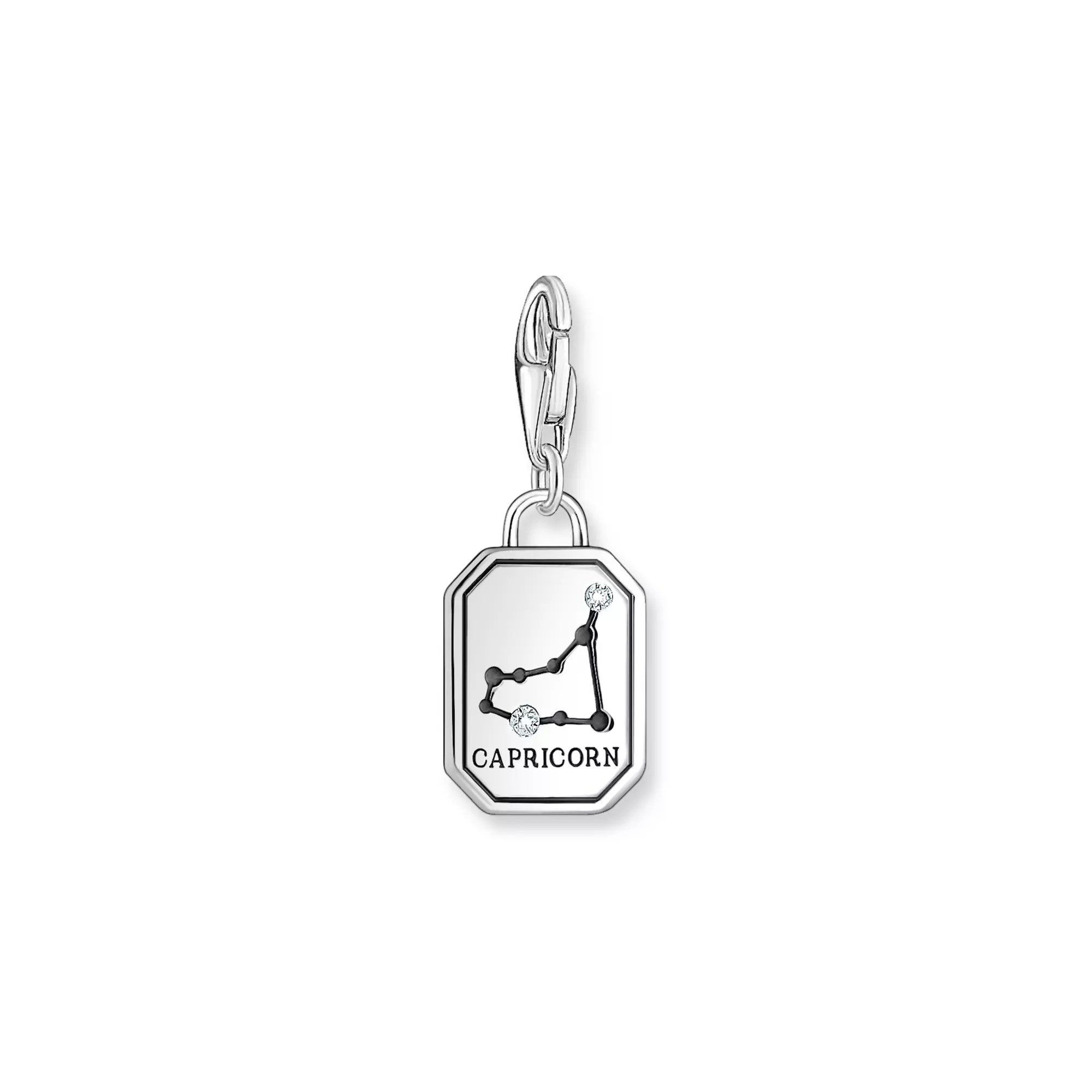 Thomas Sabo Charm-Anhänger - Sternzeichen Steinbock - Silber gesch. & Zirkonia – Ansicht 2