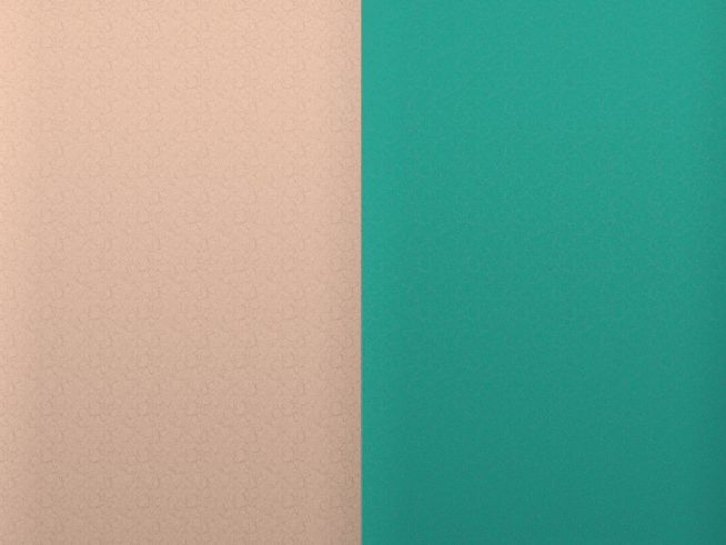 Zwei Leder Ringeinlagen von Les Georgettes in den Farben Nude und Aquatic, jeweils mit einer glatten Textur, geeignet für 12 mm Ringe, Hersteller Les Georgettes.
