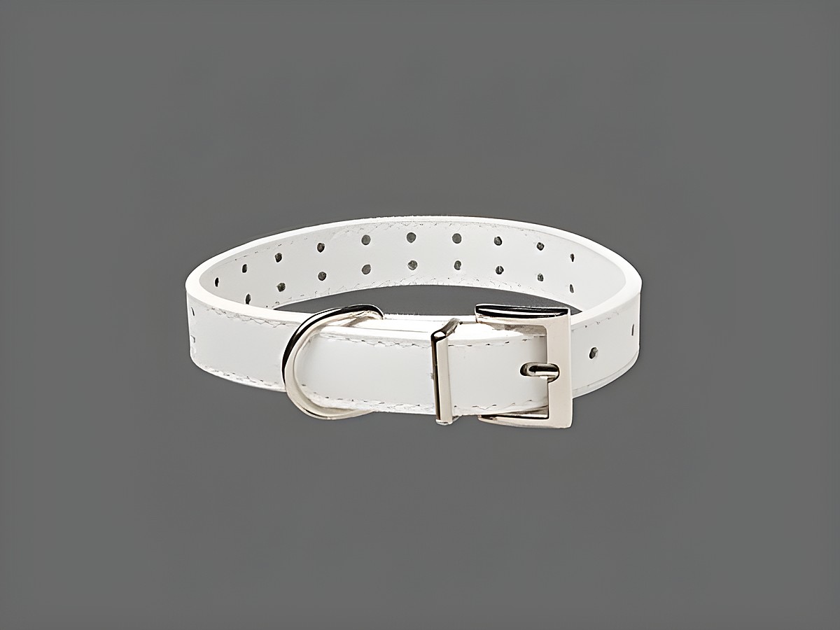 Halsband Größe S in Weiß aus echtem Leder mit einer Länge von 21,5 bis 26,5 cm, hergestellt von Juwelier Harnisch, ideal für Hunde und Katzen.