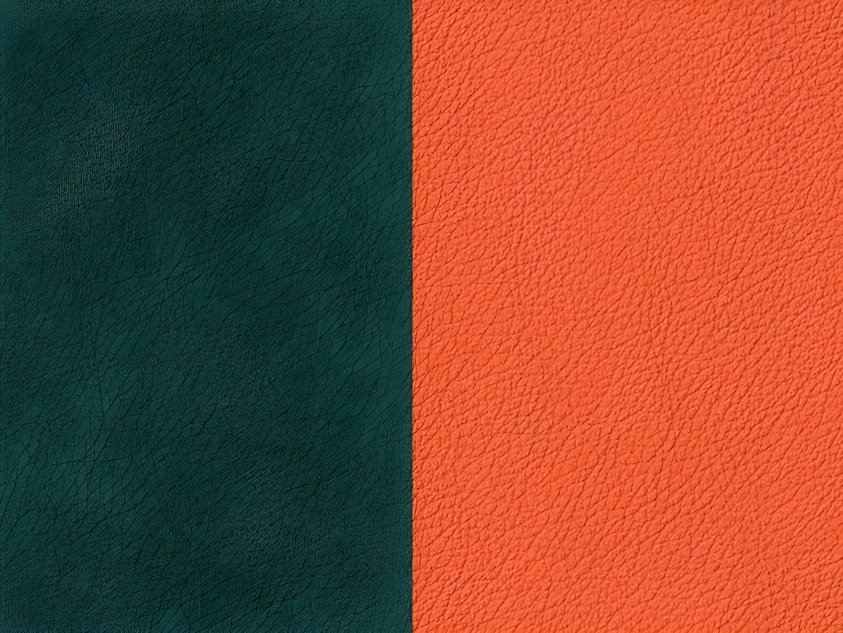 Lederarmreif Einlage in Petrolgrün und Koralle Orange, strukturiertes Leder, 8 mm Breite, Hersteller Les Georgettes, ideal für modische Akzente.