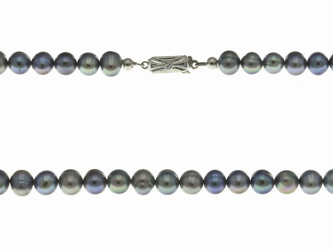 Perlenkette 43 cm in Blau/Grau aus Süßwasser Zuchtperlen des Herstellers Juwelier Harnisch, elegant und bunt mit einem dekorativen Verschluss.