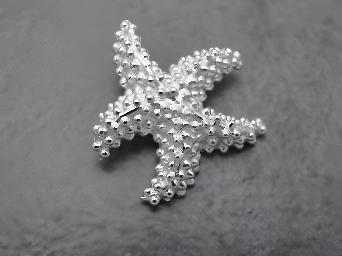 Niedlicher Seestern aus Silber, hergestellt von Juwelier Harnisch, ideal als Anhänger für Tierliebhaber. Elegantes Design und feine Details verleihen dem Schmuckstück besonderen Charme.