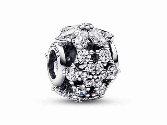 Das Bild zeigt einen Pandora Charm 792383C01 aus Sterling Silber mit klarem Zirkonia, der ein elegantes und funkelndes Design aufweist, ideal für individuelle Schmuckkombinationen.