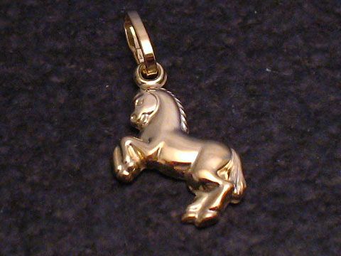 Ein goldener Anhänger in Form eines Ponys, aus 333er Gold, von Juwelier Harnisch, ideal für Tierliebhaber und Schmuckfans.