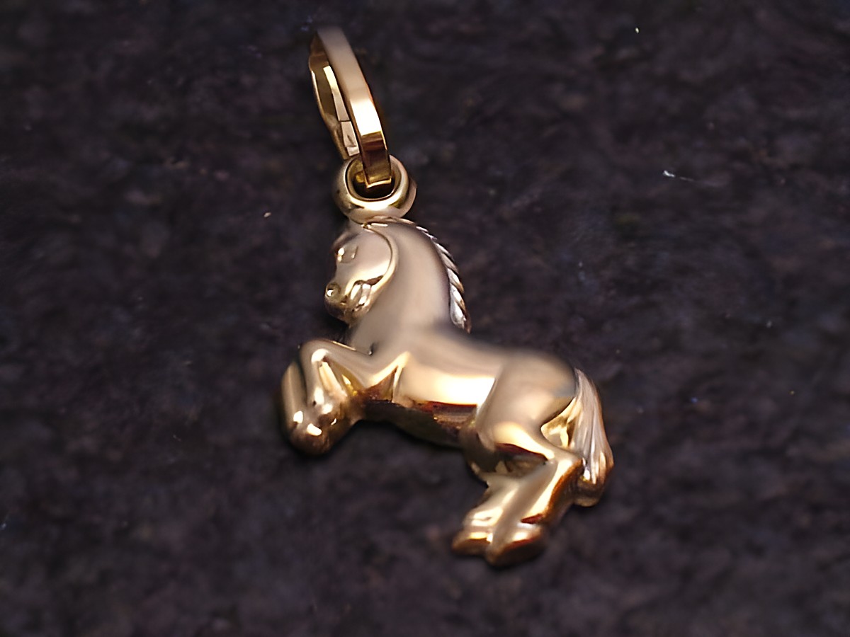 Ein goldener Anhänger in Form eines Ponys, aus 333er Gold, von Juwelier Harnisch, ideal für Tierliebhaber und Schmuckfans.