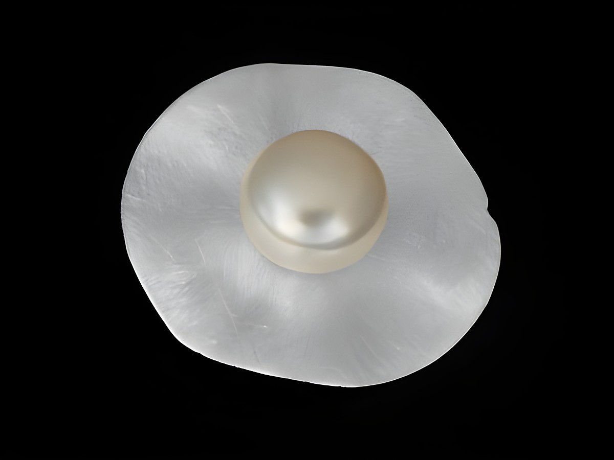 Silber Anhänger in kreisförmiger Form mit mattierter Oberfläche und Zuchtperle in der Mitte, traumhaft gefertigt vom Juwelier Harnisch, ideal für elegante Ausdrücke.