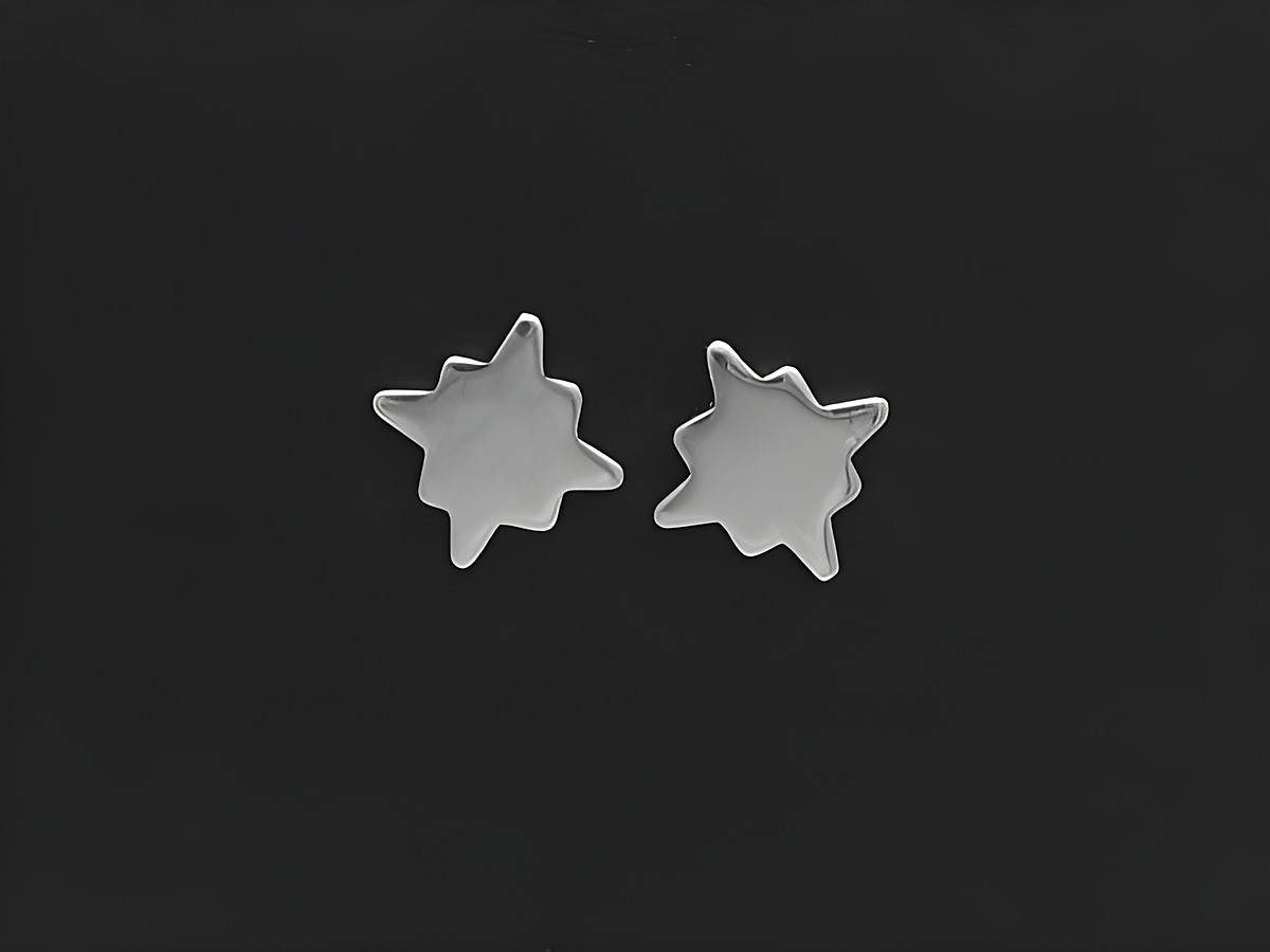 Edelstahl Ohrringe in Form von Flicken als Ohrstecker, Hersteller Juwelier Harnisch, schlichtes Design in glänzendem Edelstahl, ideal für jeden Anlass.