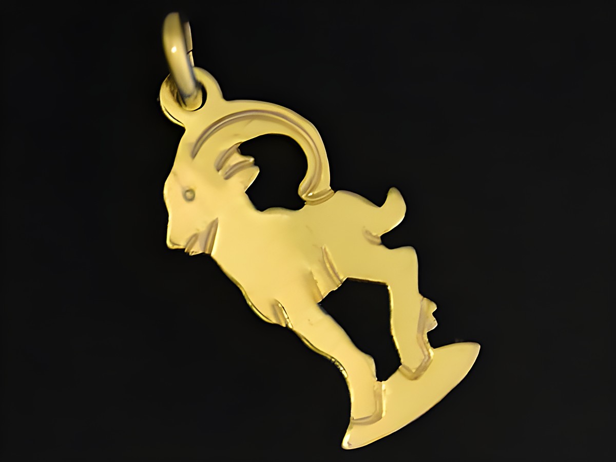 Steinbock Anhänger aus Gold 333, plastisch flach gestaltet, symbolisiert das Sternzeichen Steinbock, hergestellt von Juwelier Harnisch. Ideal für Schmuckliebhaber und Sternzeichen-Fans.