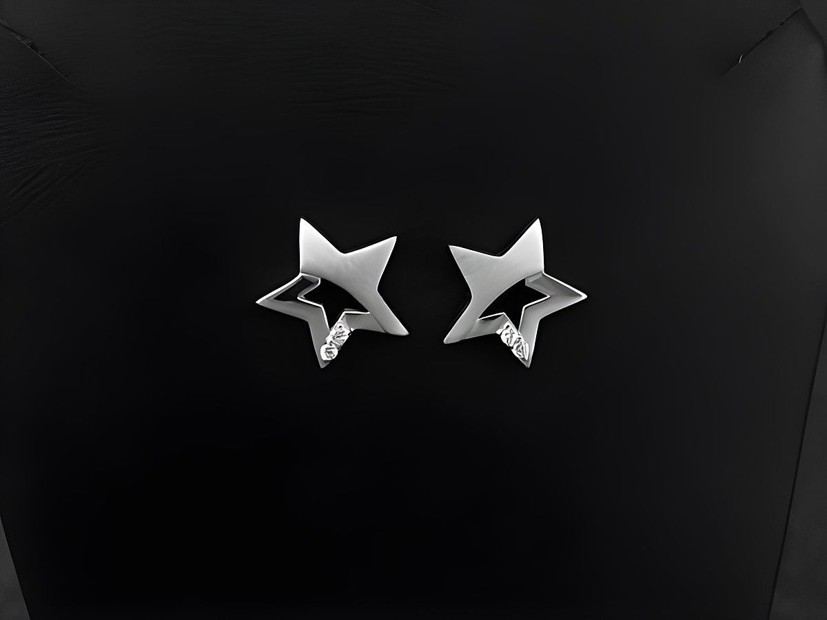 Silber Ohrstecker rhodiniert in Sternform, traumhaft teilmattiert mit Zirkonia, Hersteller Juwelier Harnisch, modernes Design für stilvolle Akzente.