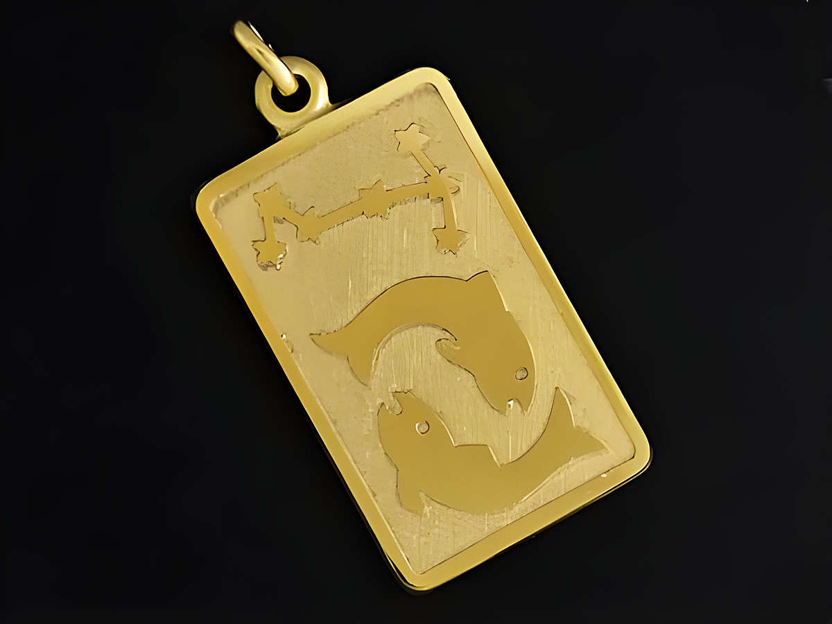 Fische Anhänger aus Gold 333 mit rechteckiger Form, Zodiak-Symbol und zwei Fischmotiven, hergestellt von Juwelier Harnisch, ideal für Sternzeichen-Liebhaber.