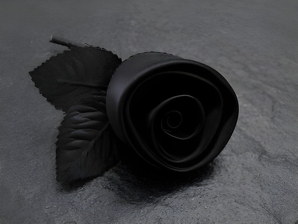 Haarschmuck und Brosche in Form einer zarten schwarzen Rose aus Satin, mit detaillierten Blättern, hergestellt von Juwelier Harnisch, ideal für festliche Anlässe.