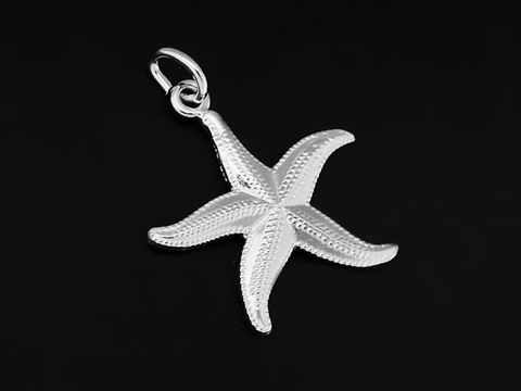 Seestern Silber Anhänger aus 925 Sterling Silber rhodiniert in maritimem Design, hergestellt von Juwelier Harnisch, ideal für Tierliebhaber.