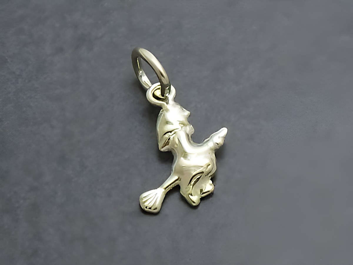 Hexe auf Besen aus Gold 333, filigran gearbeitet, als Anhänger. Ideal für Hexen- und Fantasy-Liebhaber, hergestellt von Juwelier Harnisch.