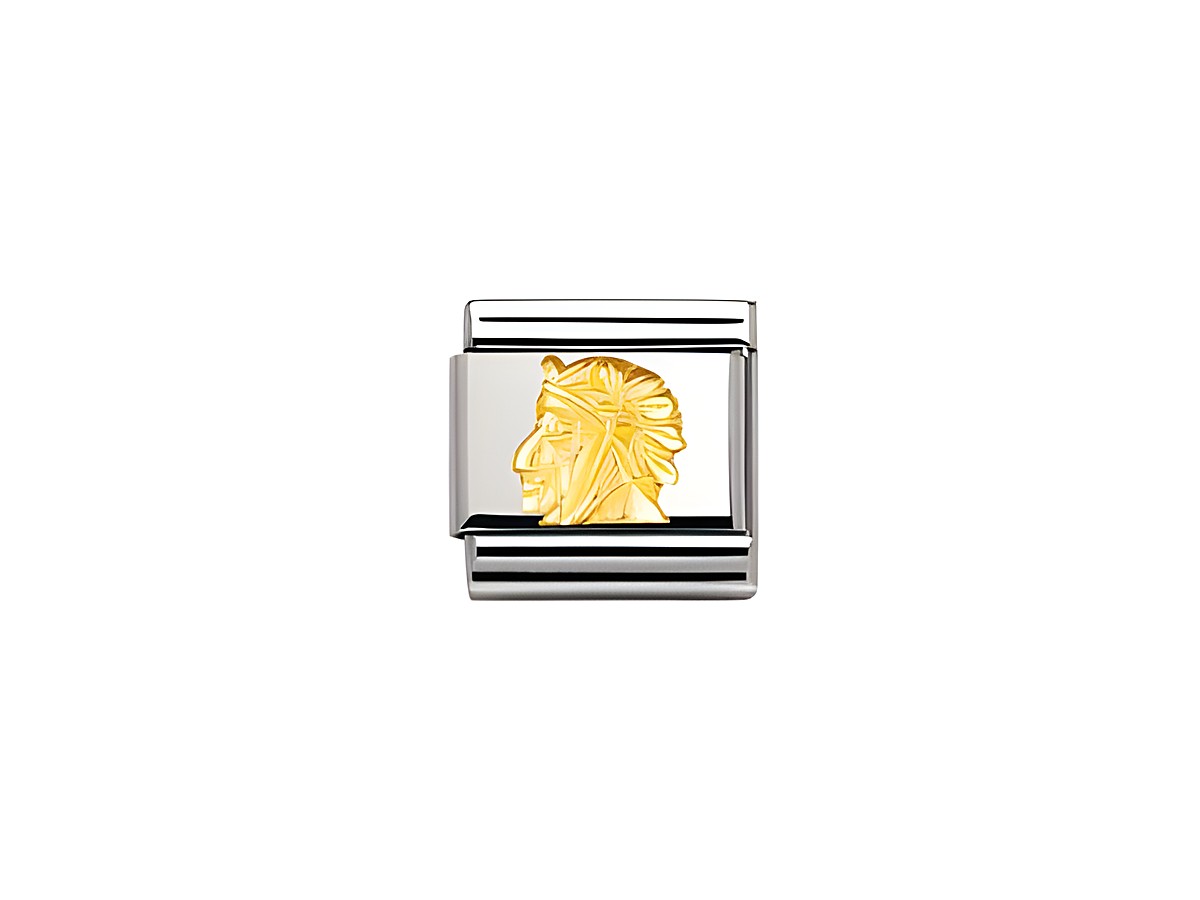 Ein Nomination Classic Dante Element in silber und gold zeigt das kunstvoll gestaltete Profil eines Löwenkopfes auf einem rechteckigen Element, ideal für individuellen Schmuck.