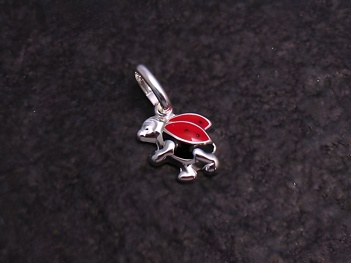 Ein niedlicher Anhänger in Form eines Marienkäfers aus Sterling Silber, perfekt für Kinder, hergestellt von Juwelier Harnisch.