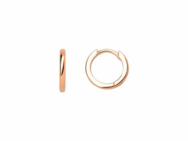 Xenox Sterling Silber Ohrringe XS8660R Creolen in Roségold vergoldet, elegantes und zeitloses Design, ideal für jeden Anlass, hochwertiger Ohrschmuck für stilbewusste Frauen.
