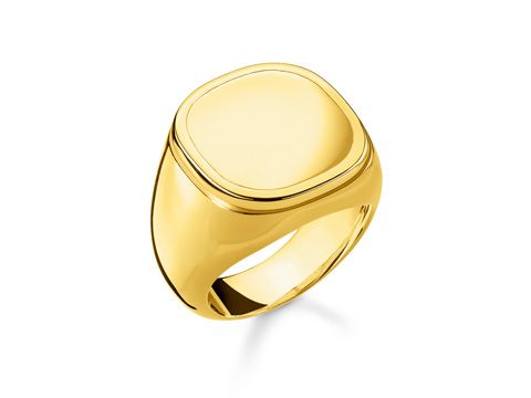 Ein eleganter gelbgoldfarbener Ring von Thomas Sabo, Modell TR2249-413-39-62, Größe 62, mit einer glatten, rechteckigen Oberfläche und einem schlichten Design.