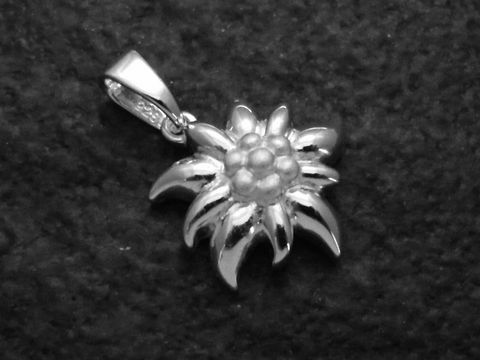 Edelweiß Blume Anhänger aus teilmattiertem Sterling Silber, gefertigt von Juwelier Harnisch, ideal für Schmuckliebhaber und Botanikanhänger.