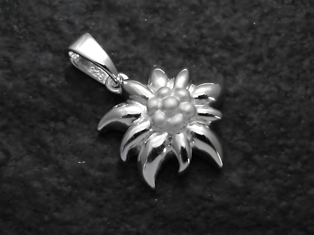 Edelweiß Blume Anhänger aus teilmattiertem Sterling Silber, gefertigt von Juwelier Harnisch, ideal für Schmuckliebhaber und Botanikanhänger.