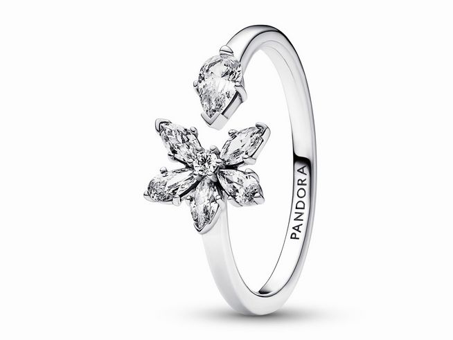 192611060-0 Ein offener Ring aus Sterling Silber von Pandora in Größe 60, verziert mit einem funkelnden Herbarium Cluster in Blumenform und mehreren klaren Steinen, strahlend und elegant.